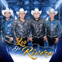 El Sobrino - Single - Los De Rivera