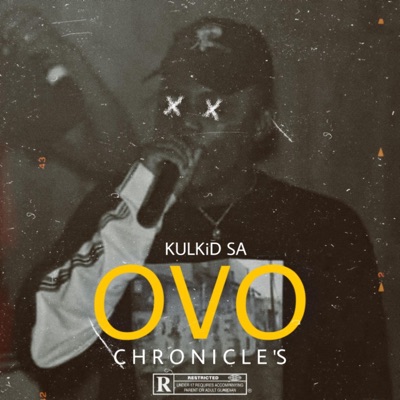 Ovo Chronicles (Radio Edit) - Single