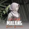 Silva Hayati - Malang Denai Bamimpi