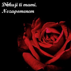 Děkuji ti mami EL KO