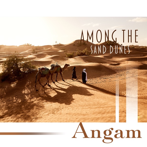 Among the Sand Dunes