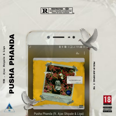 Pusha Phanda (feat. Ajax Shipale & Liga) - Single