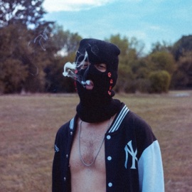 grenouillere 32nebbia