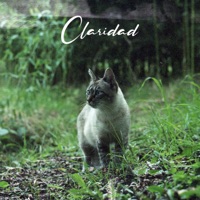 Claridad - Single - CHN