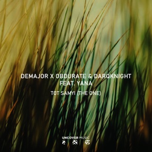 Tot Samyi (The One) [feat. Yana] - Single