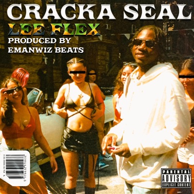Crack a Seal - Single