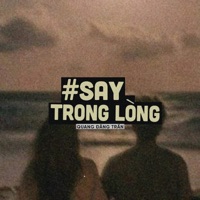 Say Trong Lòng (Lofi) - Single - Orinn & Quang Đăng Trần