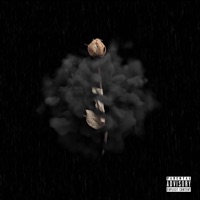 Rose - Single - Arnold The Painter