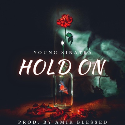 Hold On - Single