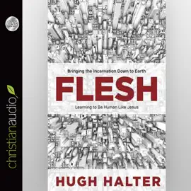 Flesh : Bringing the Incarnation Down to Earth
