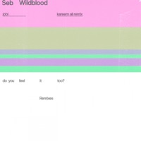 Jobi (Kareem Ali Remix) - Single - Seb Wildblood