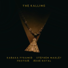 Kabaka Pyramid, Stephen Marley & Protoje - The Kalling (feat. Jesse Royal) artwork