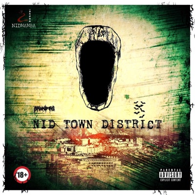 Nid Town District