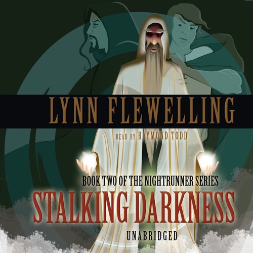 Stalking Darkness (Nightrunner, #2) cover