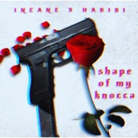Shape of My Knocca (feat. Habibi) - Single - Incane