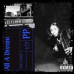 All ADream (feat. Paula Perry & DJ. Dialtone) - Single