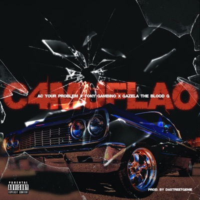 Camuflao (feat. Ac Your Problem, Gazela the Blood G & DaStreetGenie) - Single