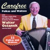 Carefree Polkas and Waltzes