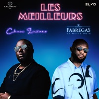 Les Meilleurs (Vici) (feat. Fabregas le Métis Noir) - Single - Chucc Luciano