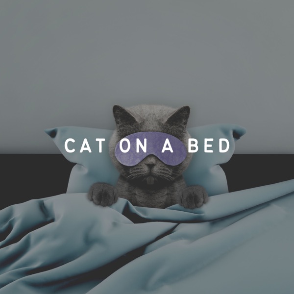 Cat on a Bed