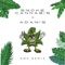 Smoke Cannabis x Adamis - REMY PROD lyrics