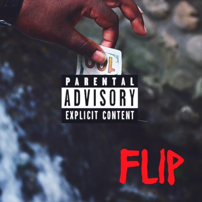 Flip - Single
