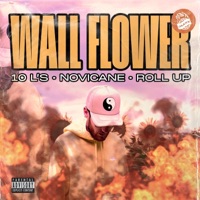 Wall Flower - Single - Jaaxx