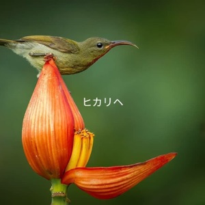 Hikarihe - EP
