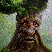 The Song Ever - Single - Blanco y Sancho