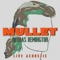 Mullet - Dallas Remington lyrics