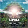 Sephyx - Tree of Life (Official Anthem Fairytale Festival) [Extended Mix]