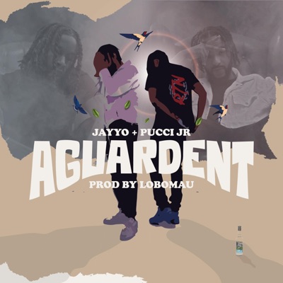 Aguardent (feat. Pucci Jr) - Single