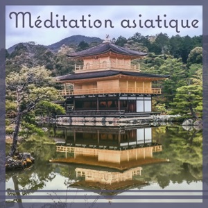 Méditation asiatique: Musique orientale pour la détente, Pouvoir de guérison du yoga, Massage calmant les sons