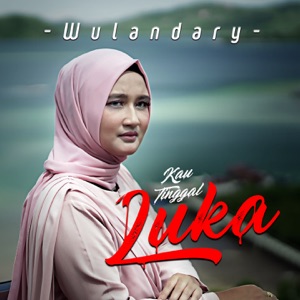 Kau Tinggal Luka Album Art