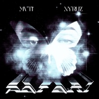 Safari (feat. Nyruz) - Single - Mvti