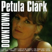 Petula Clark - The Cat in the Window (The Bird in the Sky)