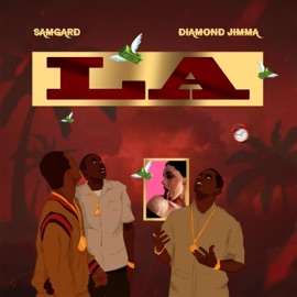 La Samgard & Diamond Jimma