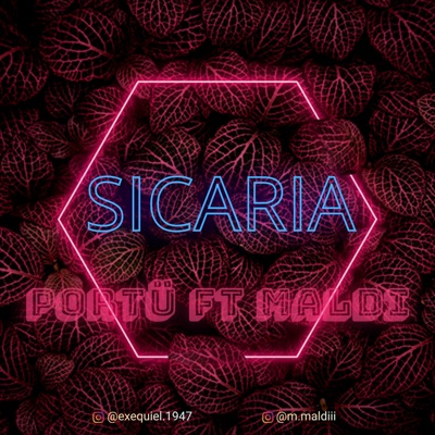 Sicaria (feat. Maldi) - Single