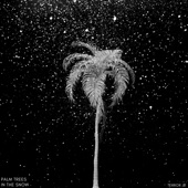 Palm Trees In the Snow artwork