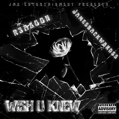 Wish U Knew (feat. R3as00n & Jamesbackwardss) - Single