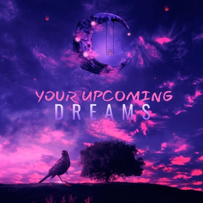 Your Upcoming Dreams (Vip Mix) - Single
