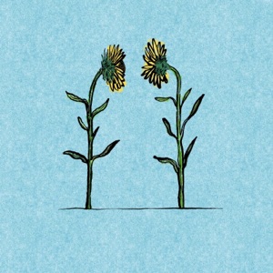 Fractals - Single