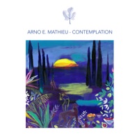 Contemplation - Arno E. Mathieu