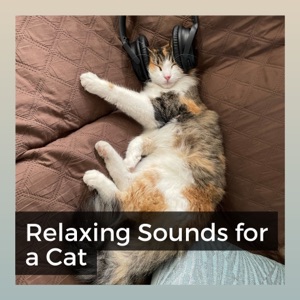 Relaxing Sounds for a Cat