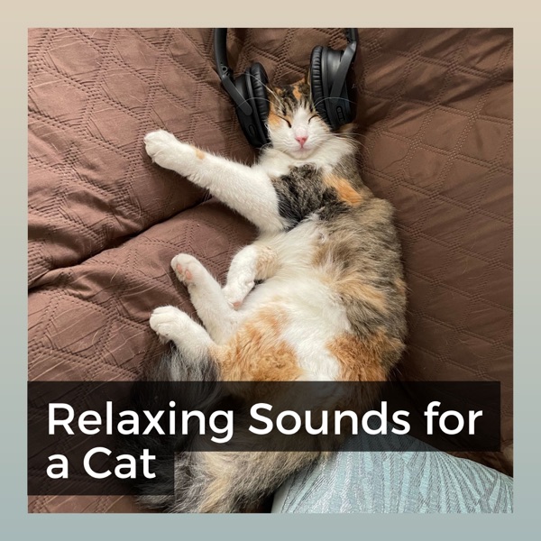 Relaxing Sounds for a Cat