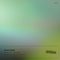 Silence (AO Remix) - Single - Ossmosis & AO
