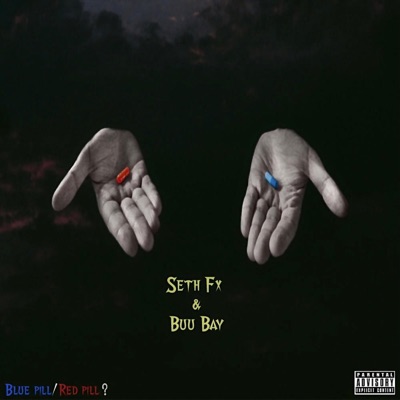 Blue Pill Red Pill (feat. Seth Fx) - Single