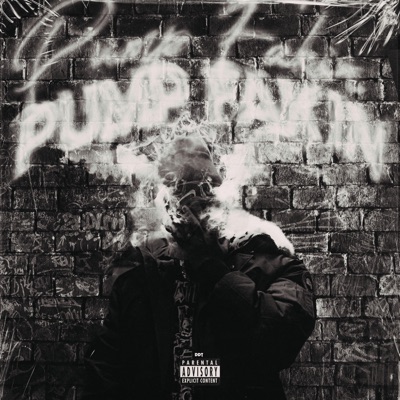 Pump Fakin' - Single