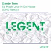 So Much Love in da House (SINS Remix) - Single