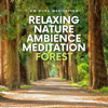 Brook Life - Om Guru Meditation, Relaxation Sleep Meditation & Sound of Nature Library